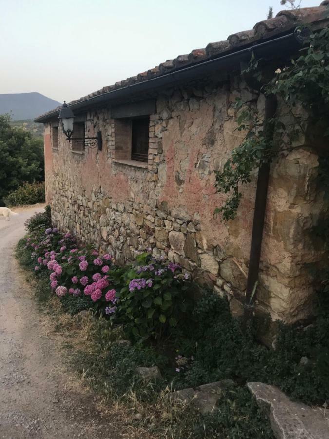 La Banditaccia Monticello Amiata Exterior photo